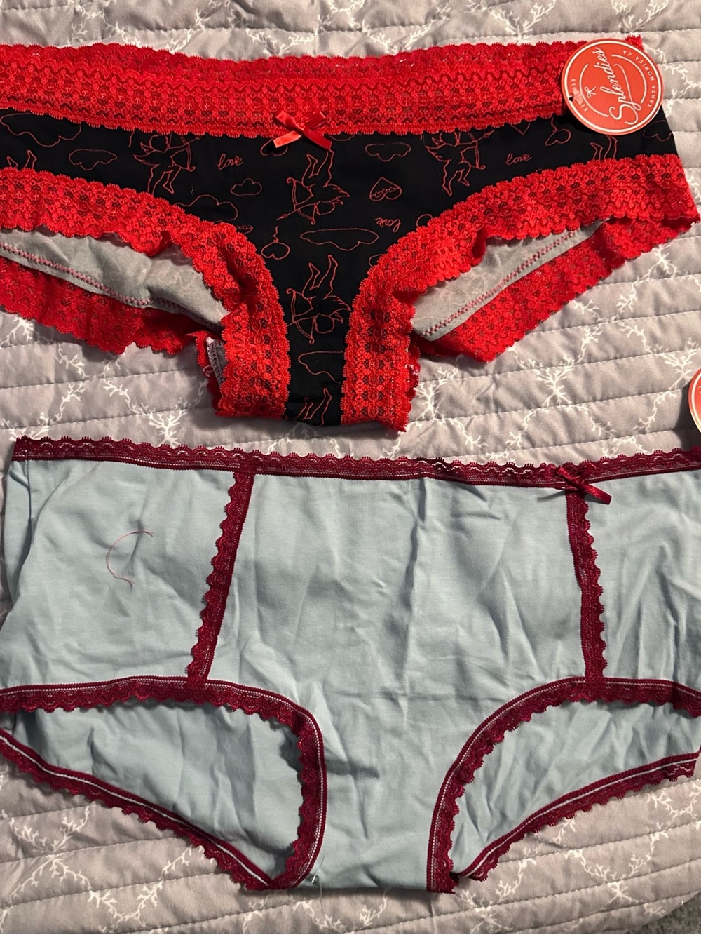 2 pair NWT Splendies underwear size 2x